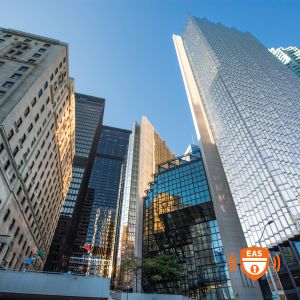 the city of Toronto